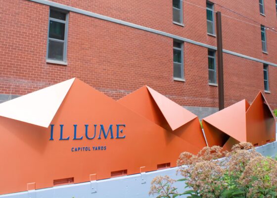 Illume Outdoor Origami Structure