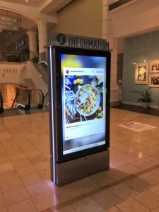 interactive kiosk, wayfinding,